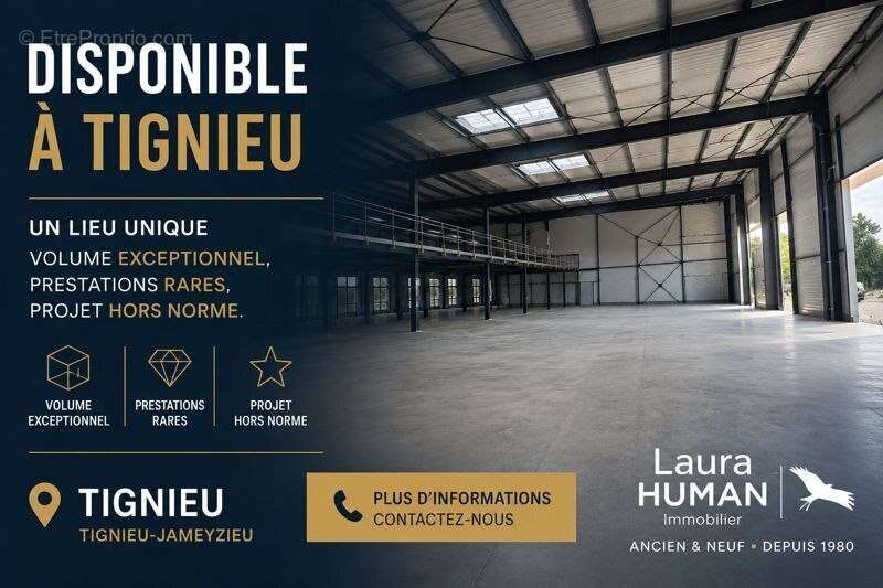 Commerce à TIGNIEU-JAMEYZIEU
