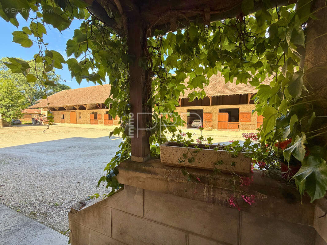 Corps de ferme avec maison T10 individuelle et dépendances - photo 3