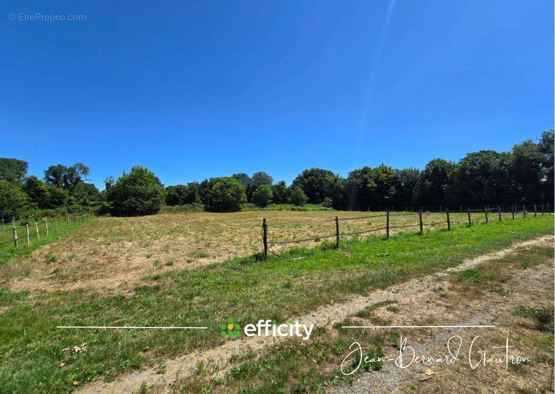 Propriété - photo 23