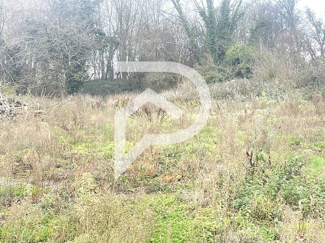 Terrain à POIX-DU-NORD