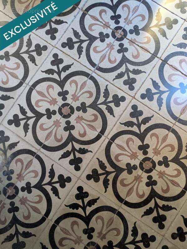 Photo 8 - Maison à SAINT-GENIES-DE-FONTEDIT