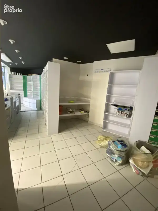 Enwemble Immobilier RONCHAMP - photo 17