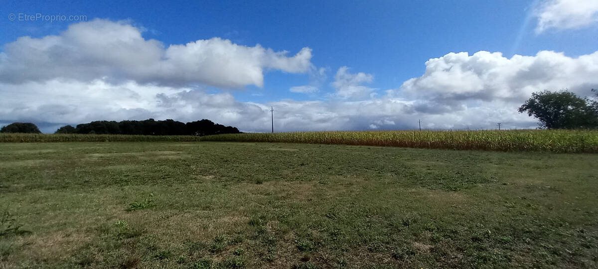 Terrain à LAMAYOU