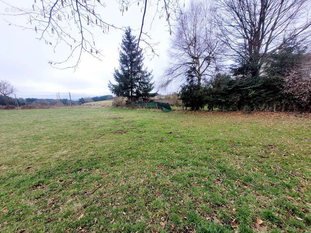 Terrain à ROZIER-COTES-D&#039;AUREC