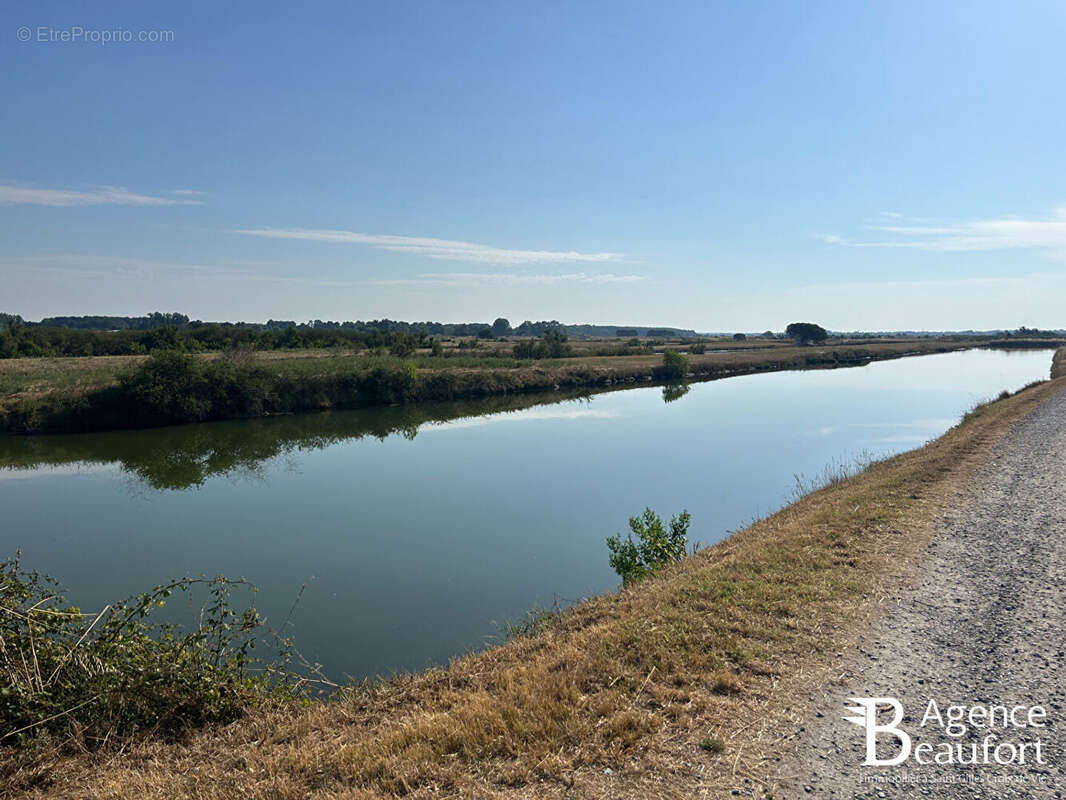 Marais Saint Hilaire De Riez - photo 2