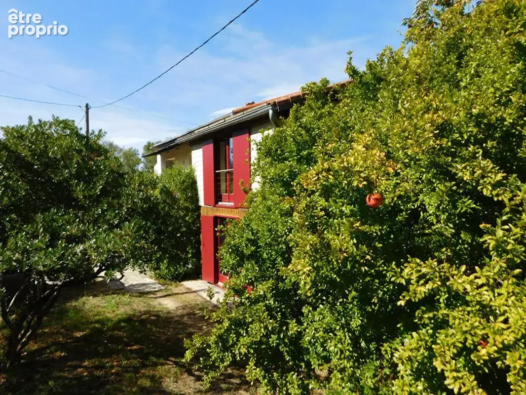 Maison Aniane 6 pièce(s) 165 m2 avec vue - photo 4