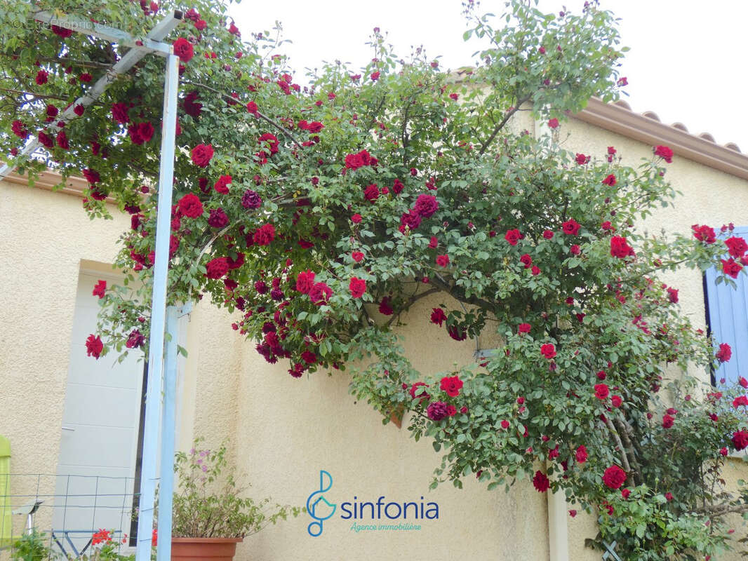 Maison à SERVIERS-ET-LABAUME