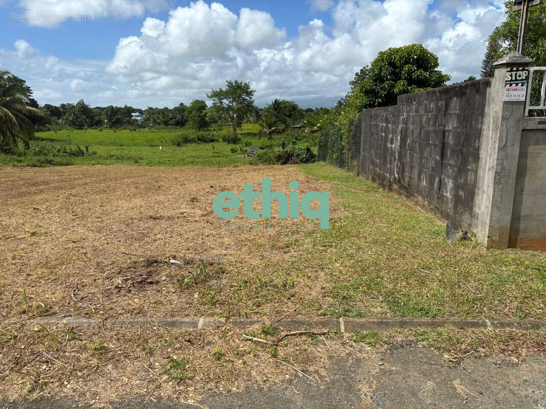 Terrain à SAINTE-ROSE