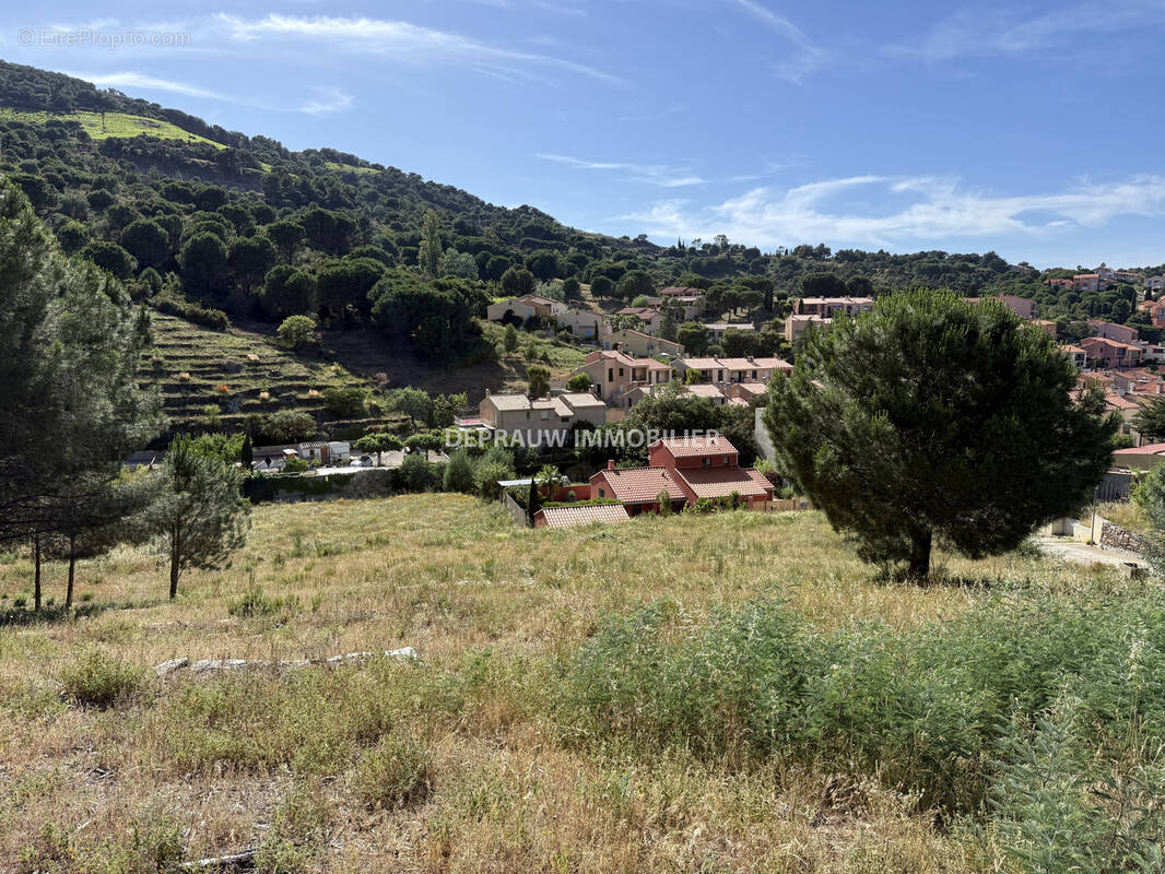 Terrain à COLLIOURE