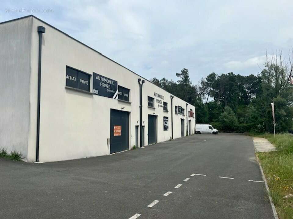 Commerce à MONTUSSAN