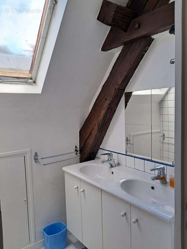 Salle d'eau 2 - Maison à LUYNES