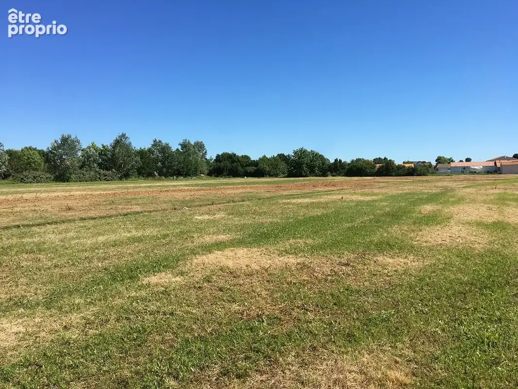 Photo Terrain à Perigny au prix de 183 000€