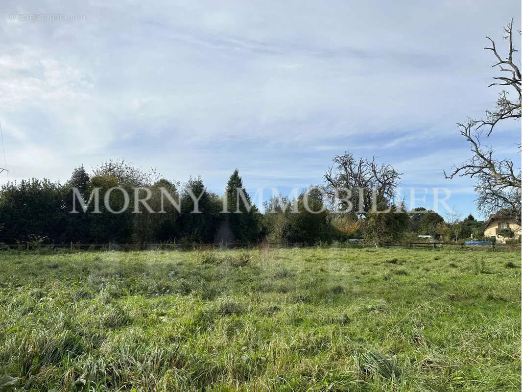 Terrain à REUX