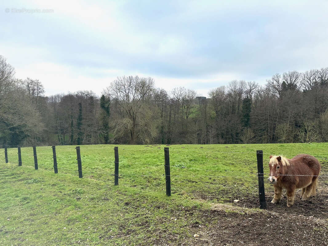 Maison à LES LUCS-SUR-BOULOGNE