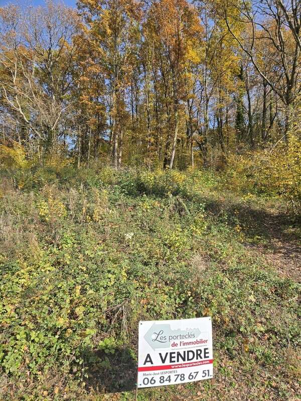 Terrain à NIEDERHASLACH