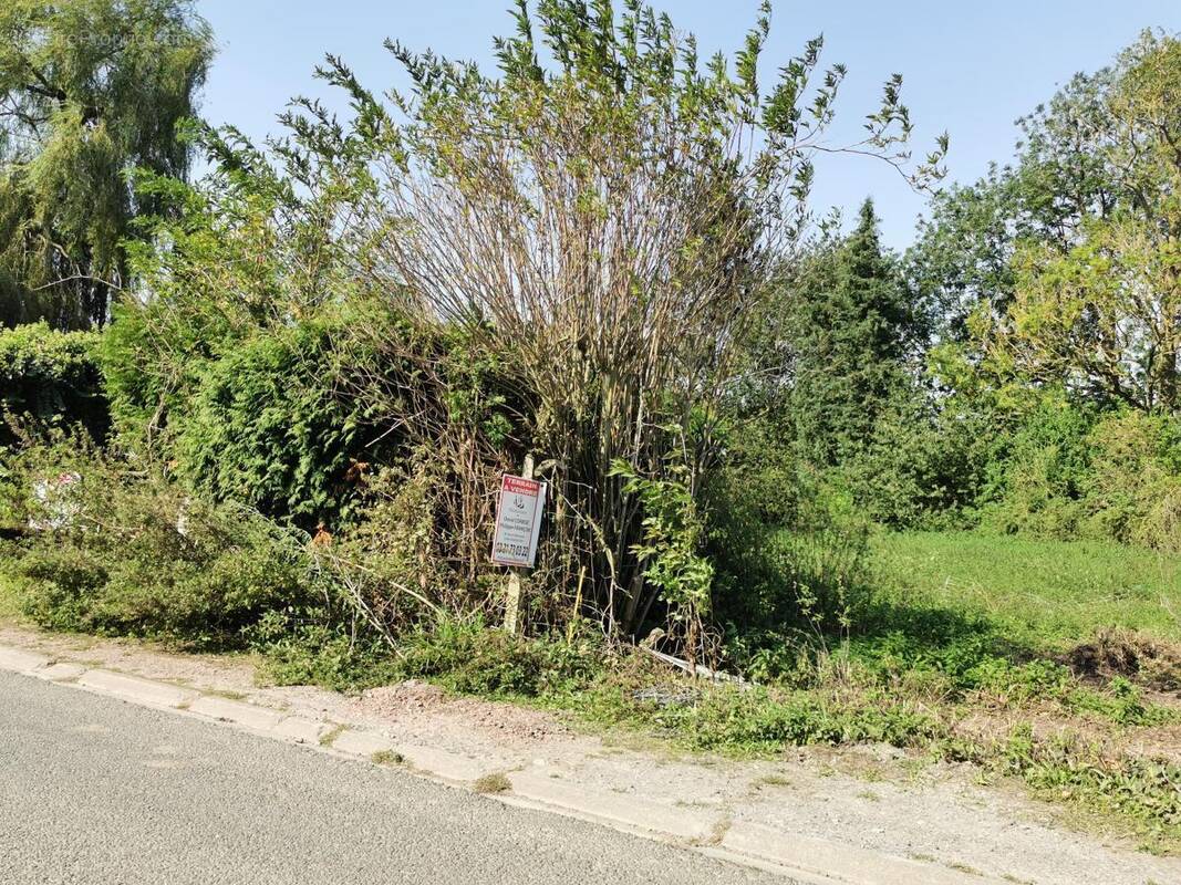 Terrain à BOIRY-BECQUERELLE