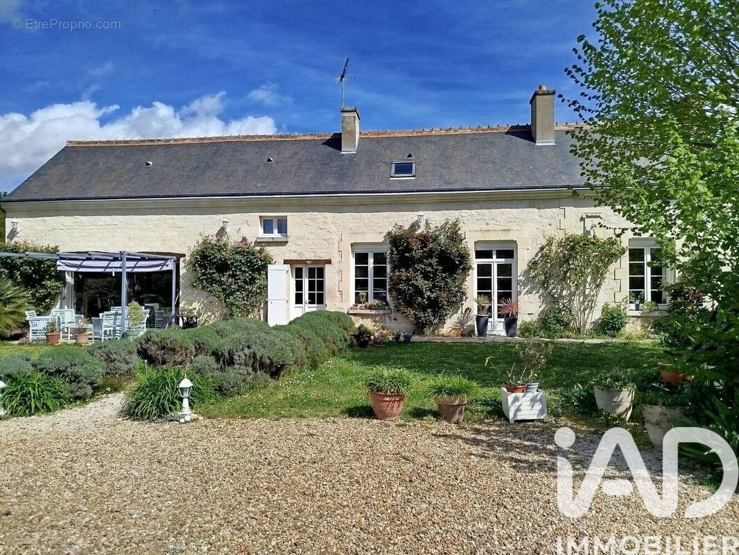 Photo 1 - Maison à CHINON