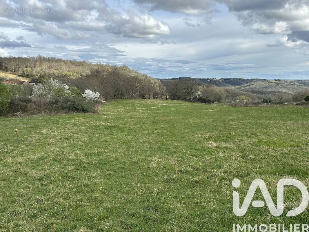 Photo 1 - Terrain à SAINT-PIERRE-LAFEUILLE