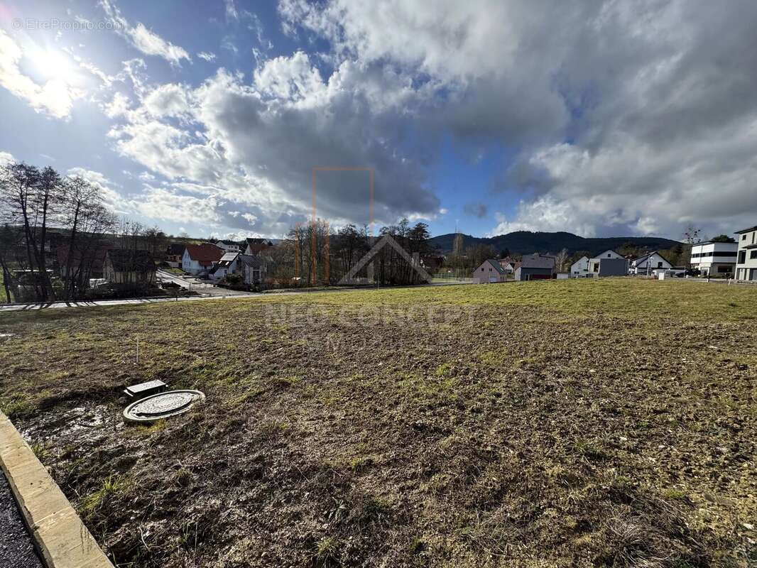 Terrain à OBERHOFFEN-LES-WISSEMBOURG