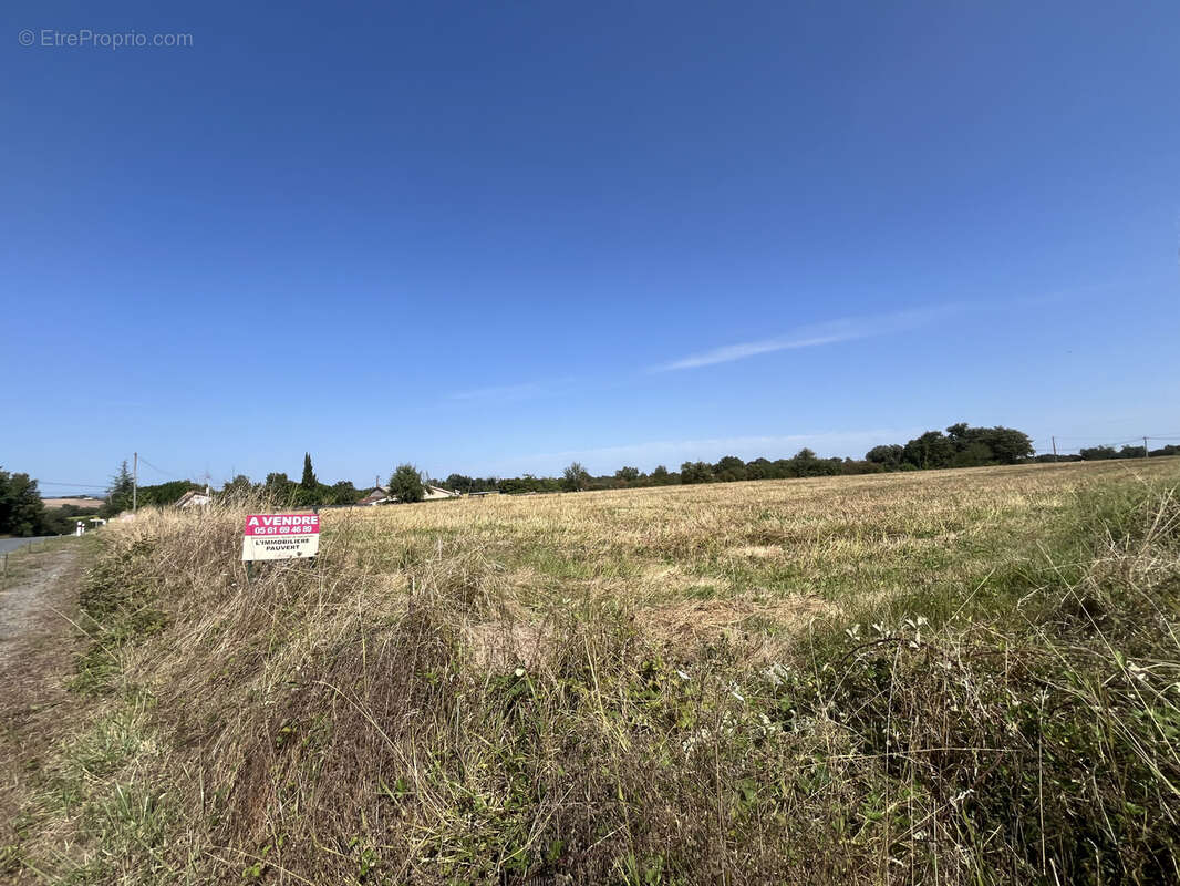15362 m2 Terrain d'1.5 hectare à vendre à Almayrac, à 20KM d’Albi dans le Tarn (81) - photo 5