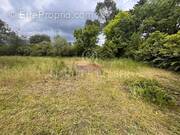 Terrain à MOUANS-SARTOUX