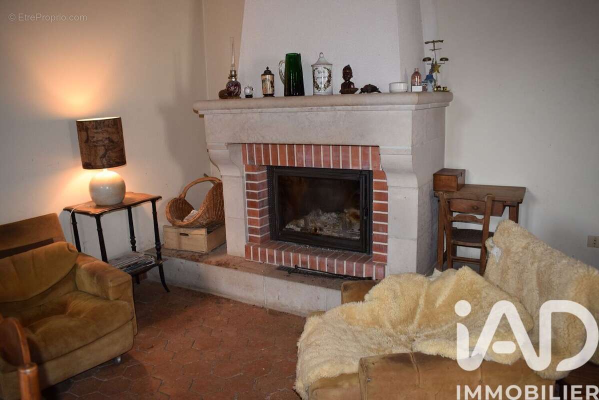 Photo 3 - Maison à OUSSON-SUR-LOIRE