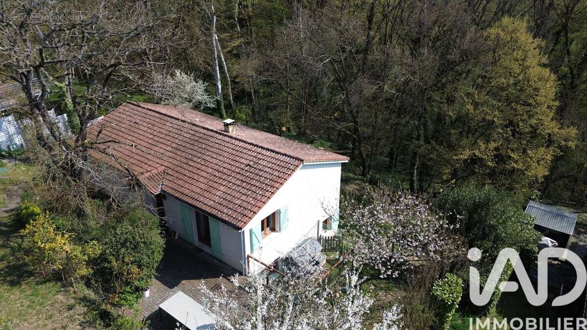 Photo 3 - Maison à LA TOUR-DE-SALVAGNY