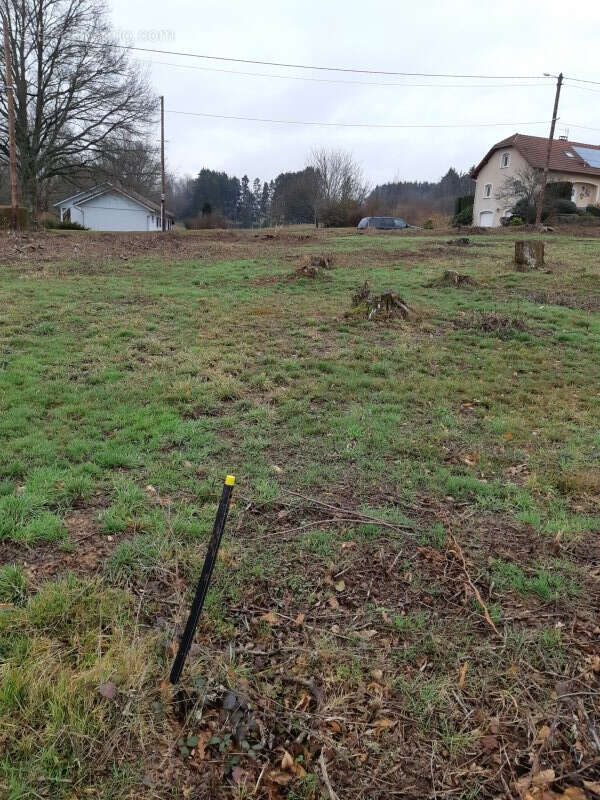Terrain à LA VOIVRE