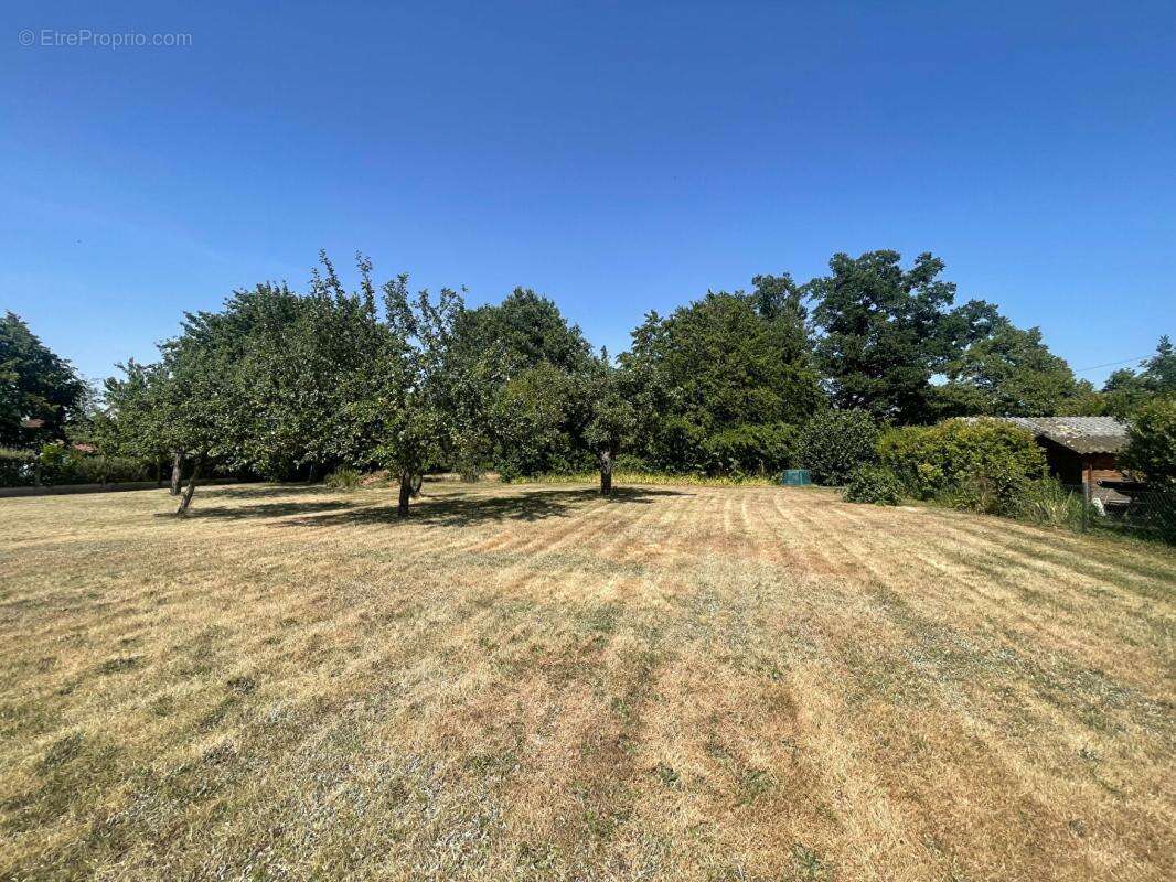 Propriétés Varennes Changy - photo 12