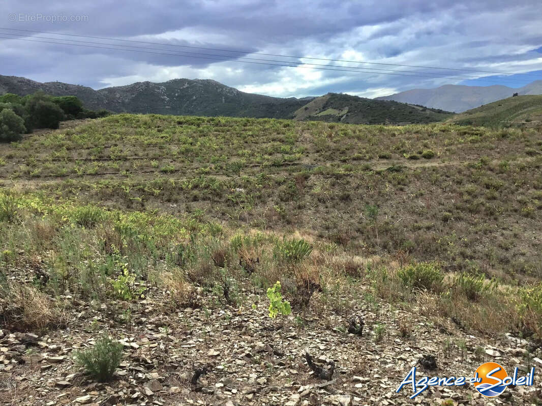Terrain à BANYULS-SUR-MER