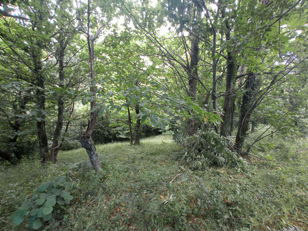 Terrain à SAINT-HIPPOLYTE-DU-FORT