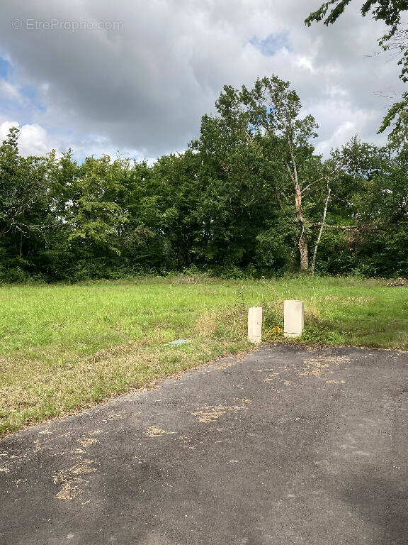 Terrain à SURY-ES-BOIS