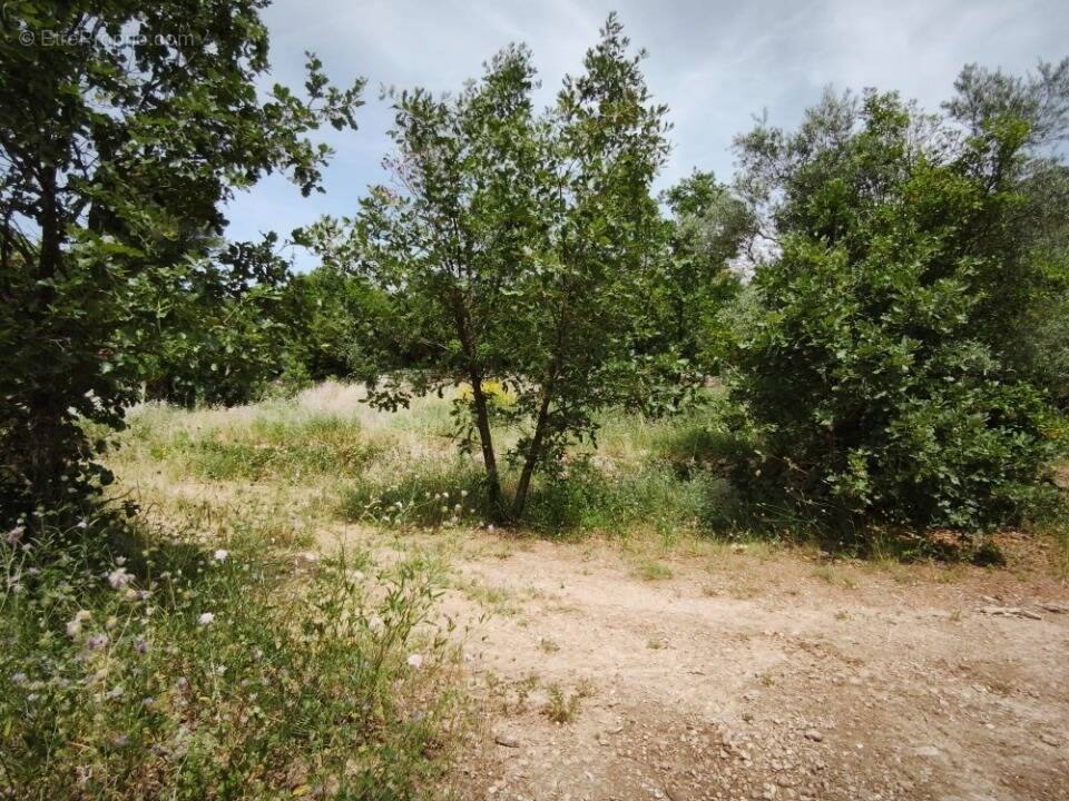 Photo Terrain à Belgentier au prix de 240 000€