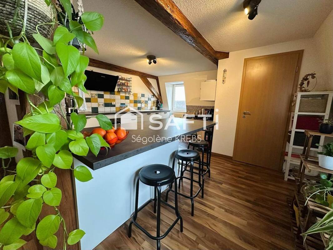Photo 1 - Appartement à HILSENHEIM