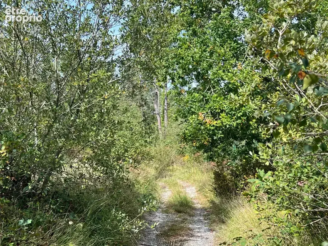 À vendre – argol – finistère – presqu’île de crozon-exceptionnel terrain de loisirs de 40 000 m² - photo 51