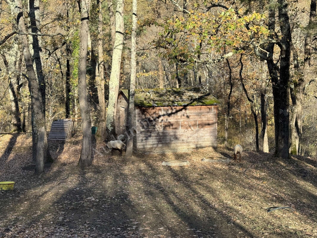 Propriété de 9,34 ha avec deux lacs - photo 12