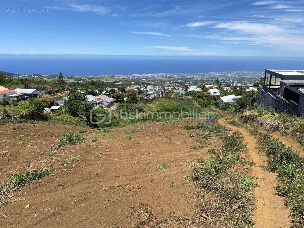 Terrain à LE TAMPON
