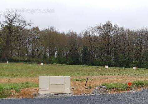 Terrain à SAINT-PERE-EN-RETZ