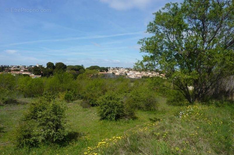 Terrain à BEZIERS