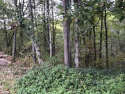 Terrain à CHANCELADE