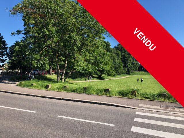 Appartement à SCHILTIGHEIM