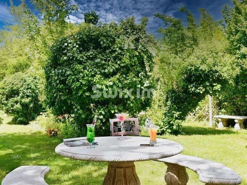 Commerce à CHEVERNY