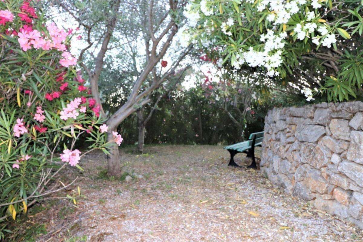 Charmante propriété familiale avec vue panoramique – Saint-Paul-de-Vence - photo 8