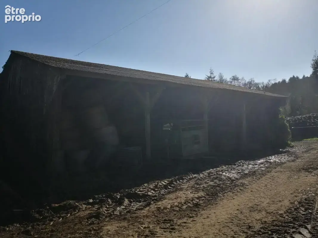 cadre bucolique pour cet authentique corps de ferme en pierre sur 10 hectares  Idéal équestre & agricole - photo 9