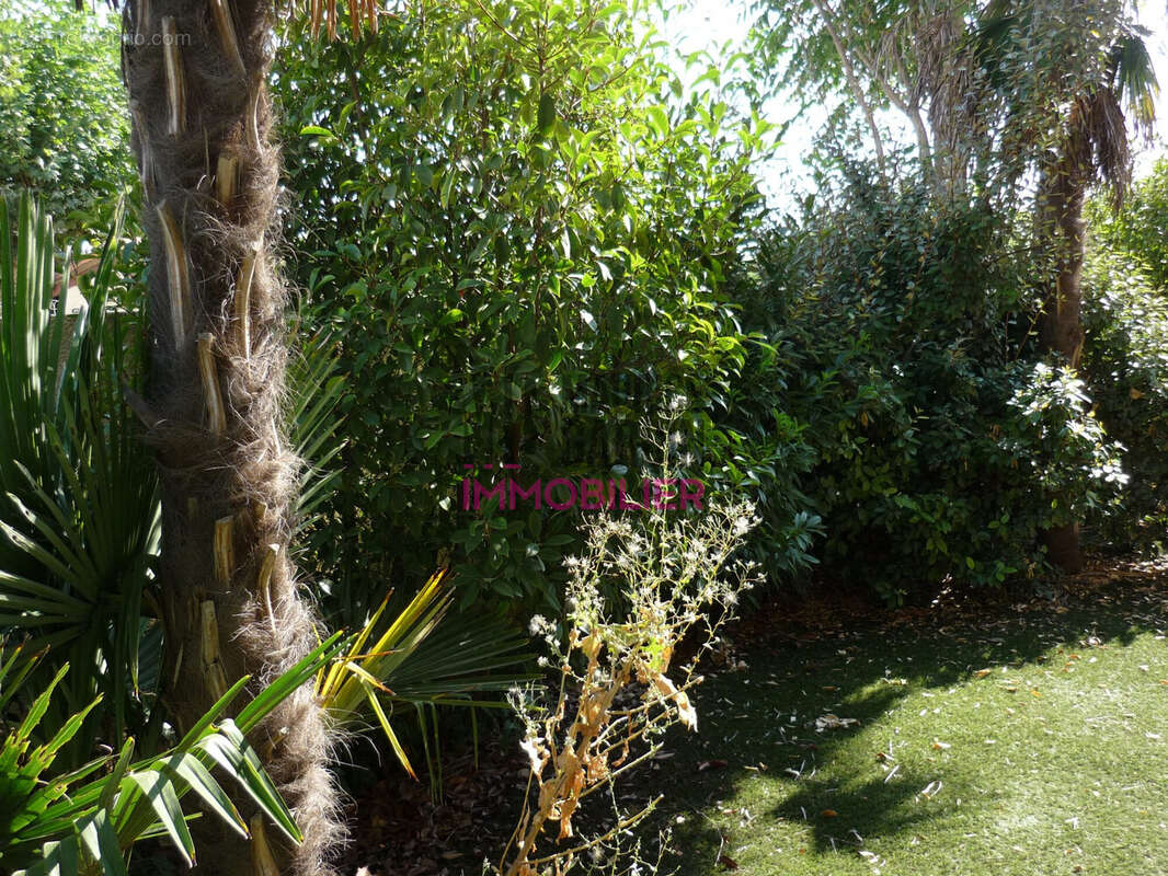 Appartement 47 m² à L'isle-Sur-La-Sorgue  - photo 6