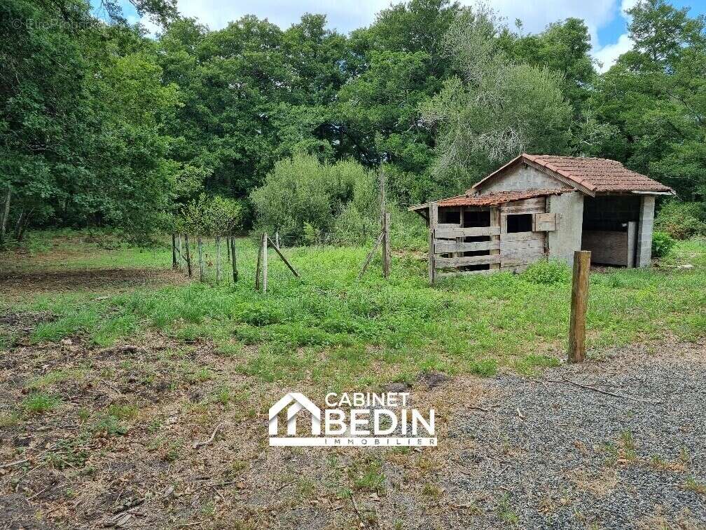 Maison à SAINT-PAUL-EN-BORN