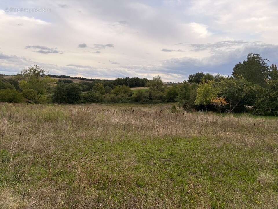 Terrain à ROQUESERIERE