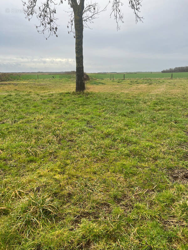 Terrain à SONCHAMP