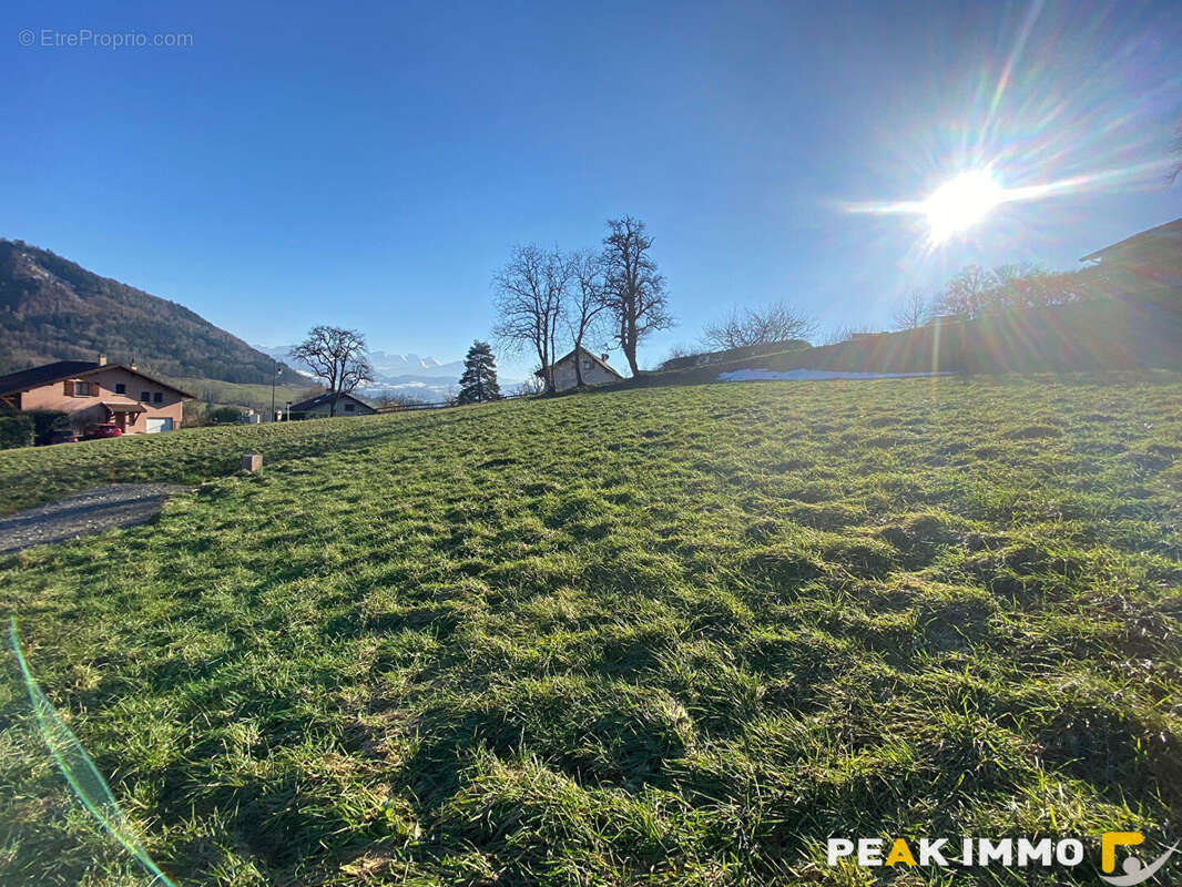 FILLINGES - Terrain constructible de 797 m2 - photo 4