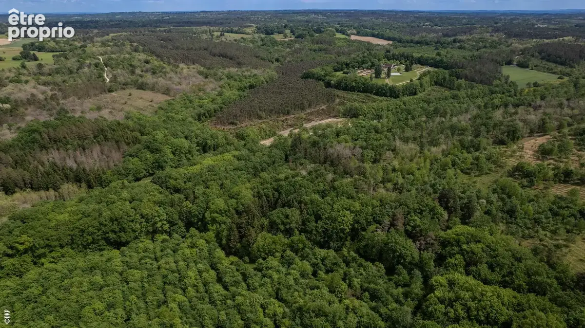 Domaine d'exception sur 100 hectares de forêt privée et bâtis en pierre. Vidéo sur demande - photo 19